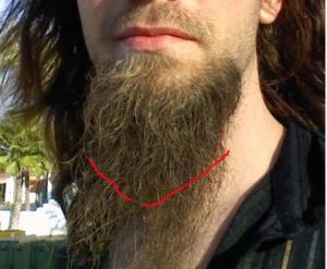 beard.jpg