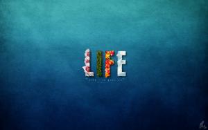 life_by_mushir1.jpg