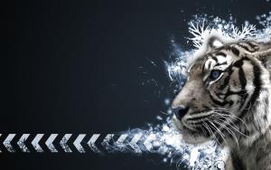 Tiger-widescreen-wallpaper-1920x1200.jpg