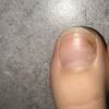 post-463053-449064_thumb.jpeg