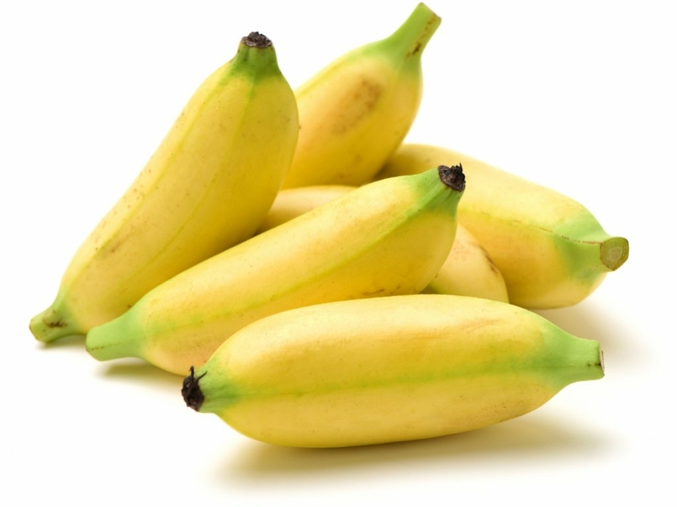 71-3_virunga-baby-banany.jpg